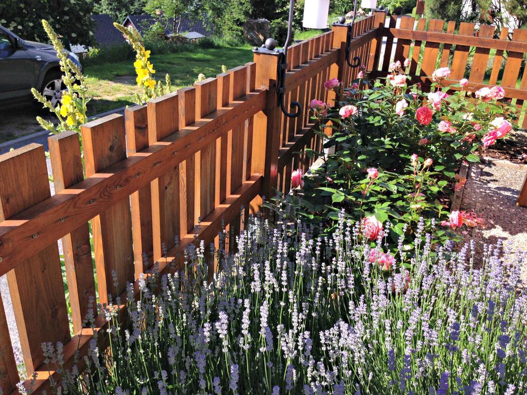 B&B Na Kopecku Rokytnice nad Jizerou Exterior foto